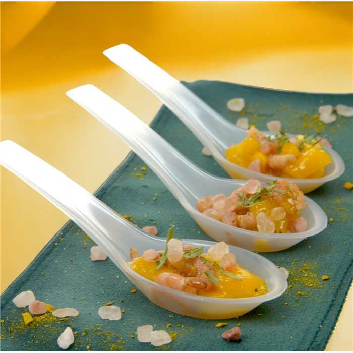 Chinese Spoon 10ml (25pcs) Reusable